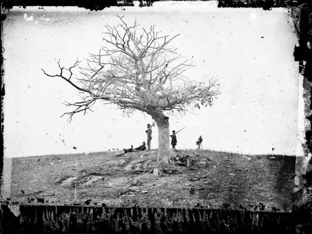 Weathering the Storm